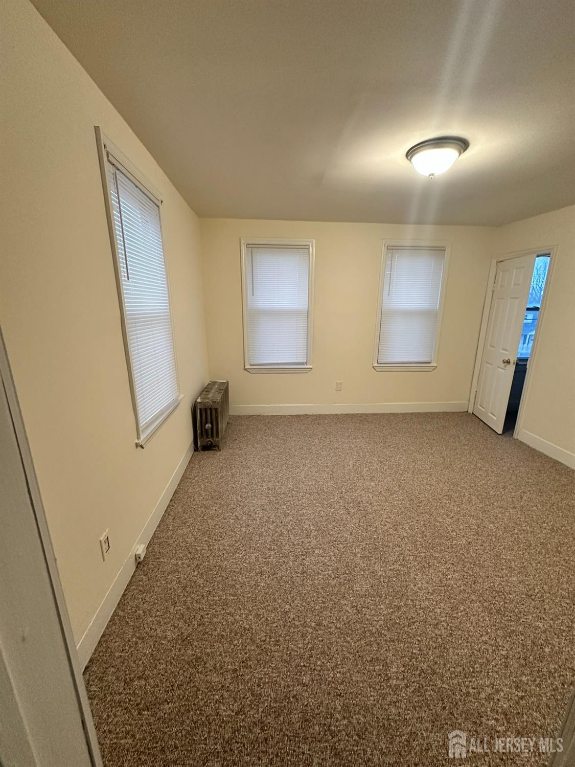 231 Clinton Street, Woodbridge Proper, NJ, 07095 image 24