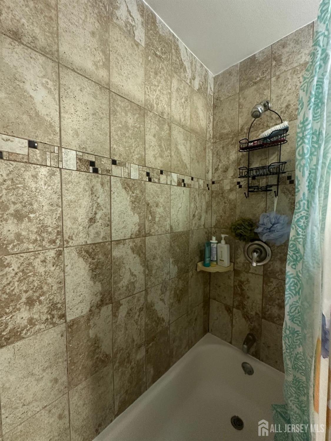 663 Hamilton Street, Somerset County, NJ, 08873 image 24