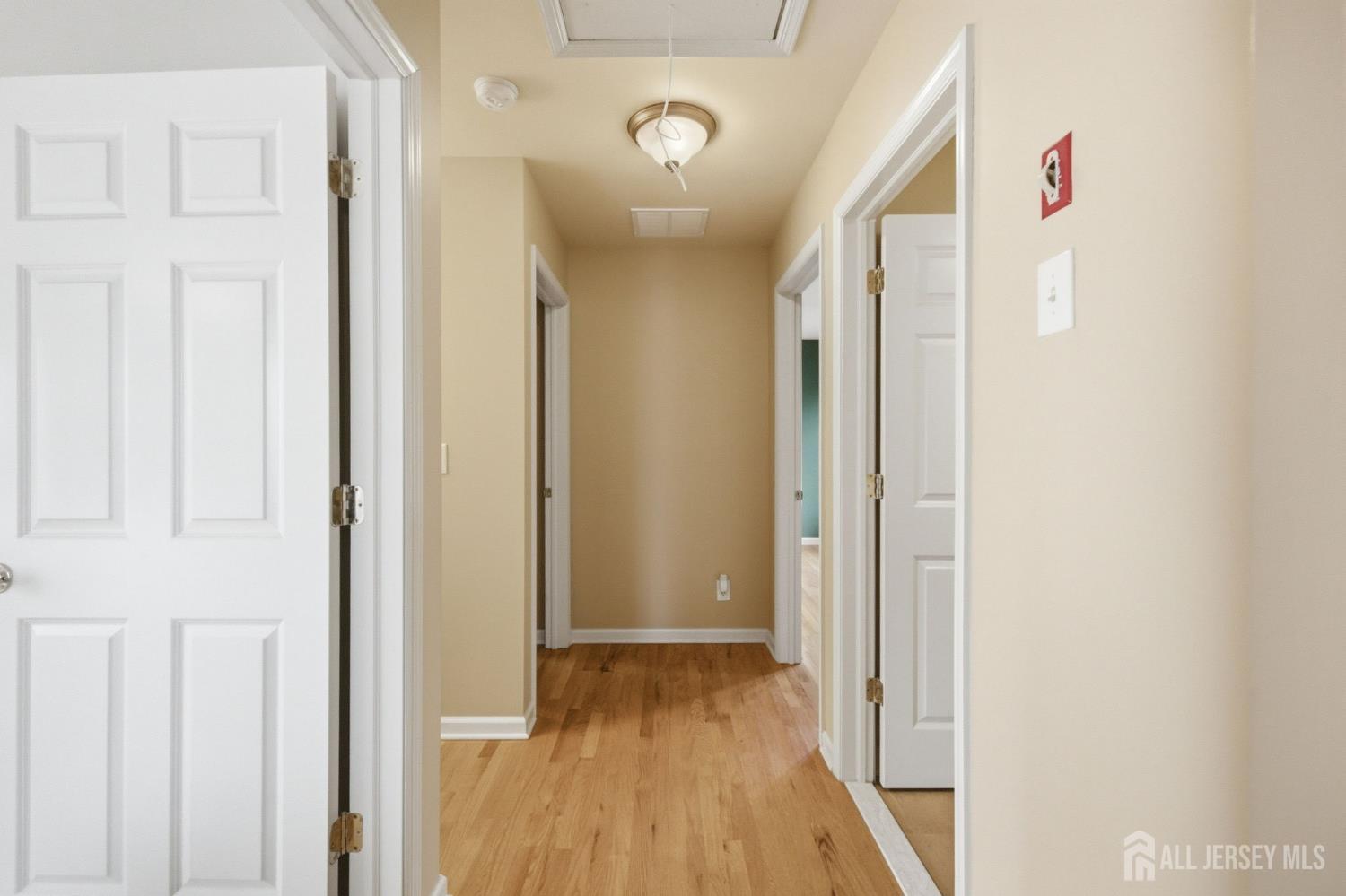 114 3rd Street, Dunellen, NJ, 08812 image 27
